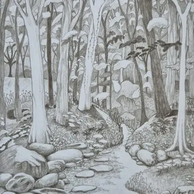 A walk in the woods