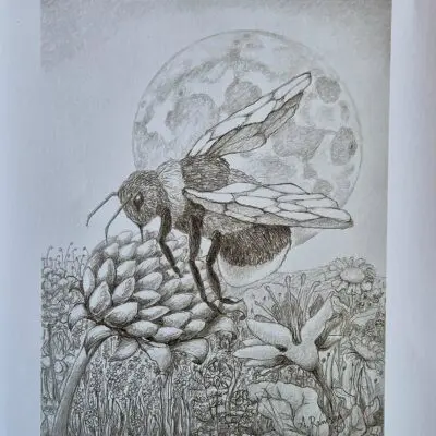 Bumbogi the Bumblebee