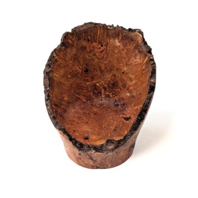 Elm Burl. Ref: IWT.010