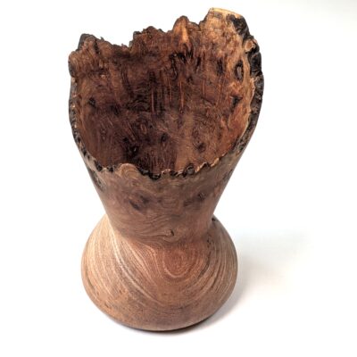 Elm Burl. Ref: IWT.011